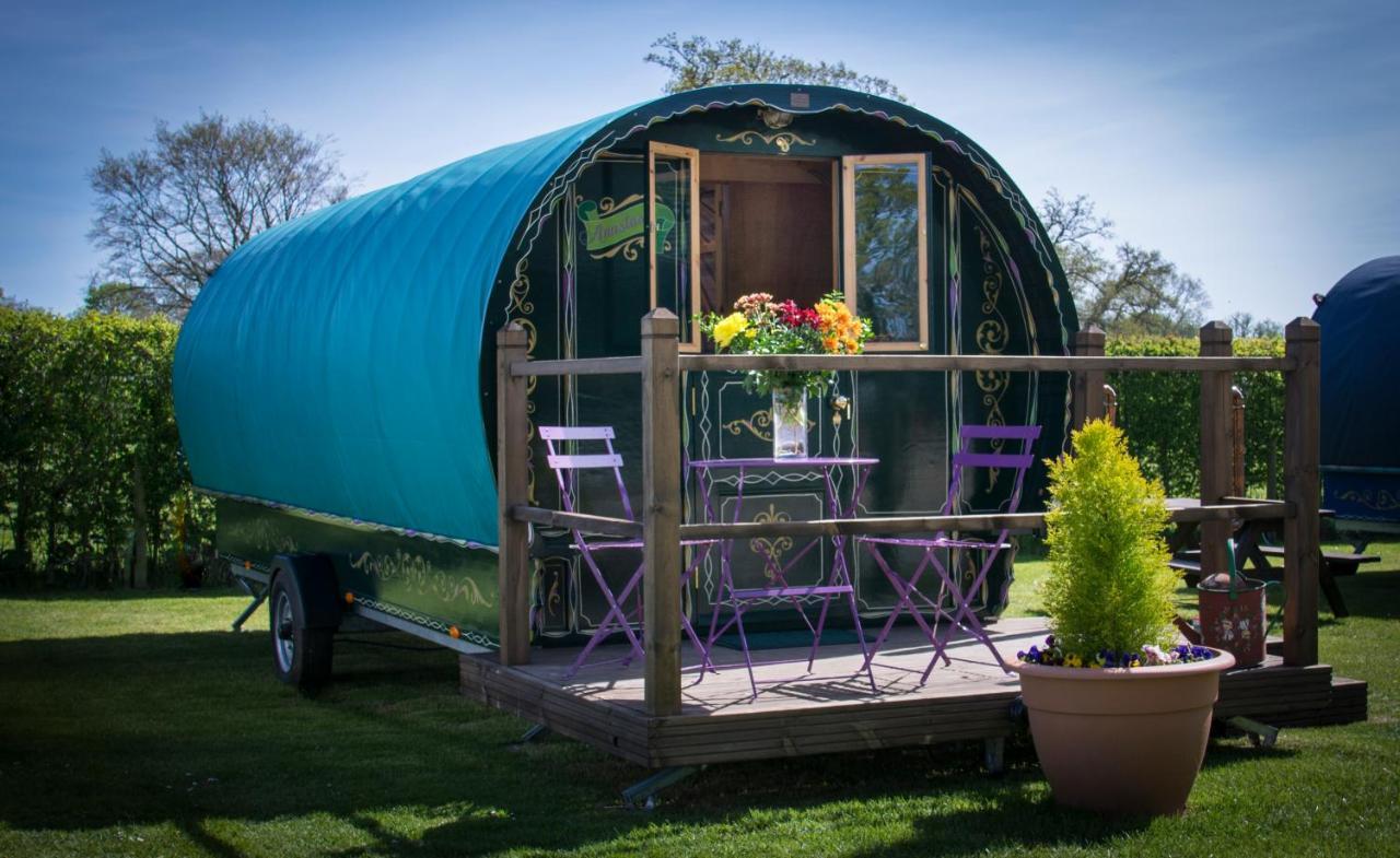 Hotel Glamping At South Lytchett Manor Poole Zewnętrze zdjęcie